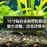 16寸铝合金越野轮毂改装全攻略，适合这些车型！（图2）
