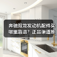 奔驰双龙发动机配件买哪里靠谱？正品渠道推荐（图1）
