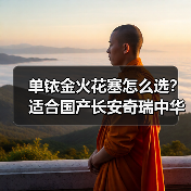 单铱金火花塞怎么选？适合国产长安奇瑞中华的型号推荐（图2）