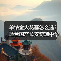 单铱金火花塞怎么选？适合国产长安奇瑞中华的型号推荐（图4）