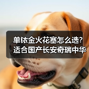 单铱金火花塞怎么选？适合国产长安奇瑞中华的型号推荐（图3）