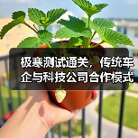 极寒测试通关，传统车企与科技公司合作模式