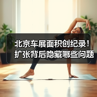 北京车展面积创纪录！扩张背后隐藏哪些问题？（图3）