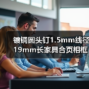 镀铜圆头钉1.5mm线径19mm长家具合页相框配件批发价（图4）