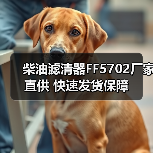 柴油滤清器FF5702厂家直供 快速发货保障（图2）