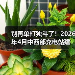 别再单打独斗了！2026年4月中西部充电站建设运营生态大会举行，我看到了拐点（图2）