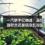 一汽联手亿咖通：是强强联合还是病急乱投医？（图4）