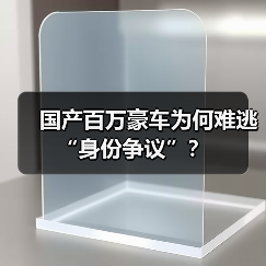 国产百万豪车为何难逃“身份争议”？（图4）