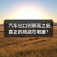 汽车出口创新高之后，真正的挑战在哪里？（图3）