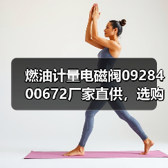 燃油计量电磁阀0928400672厂家直供，选购指南与价格咨询（图2）