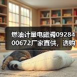 燃油计量电磁阀0928400672厂家直