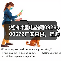 燃油计量电磁阀0928400672厂家直供，选购指南与价格咨询（图3）
