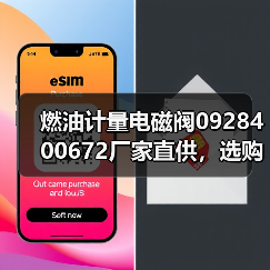 燃油计量电磁阀0928400672厂家直供，选购指南与价格咨询（图4）