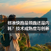 标准快跑是领跑还是内耗？技术成熟度与创新