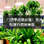 门把手改装必备！亮片贴提升颜值神器（图3）