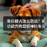 车位被占怎么防盗？多功能方向盘锁伸拉车头锁具推荐（图2）