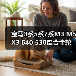 宝马3系5系7系M3 M5 X3 640 530铝合金轮毂改装18/20寸指南（图2）