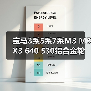 宝马3系5系7系M3 M5 X3 640 530铝合金轮毂改装18/20寸指南（图3）