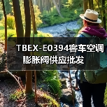 TBEX-E0394客车空调膨胀阀供应批发（图1）