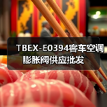 TBEX-E0394客车空调膨胀阀供应批发（图4）