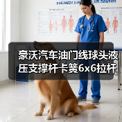豪沃汽车油门线球头液压支撑杆卡簧6x6拉杆球珠连接怎么选（图4）