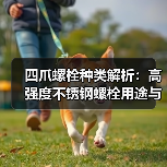 四爪螺栓种类解析:高强度不锈钢螺栓用途与选购指南(图3) 四爪螺栓种类解析:高强度不锈钢螺栓用途与选购指南(图3)