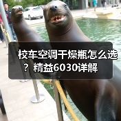 校车空调干燥瓶怎么选？精益6030详解（图1）