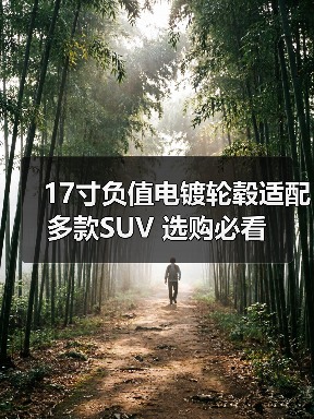 17寸负值电镀轮毂适配多款SUV 选购必