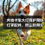 奔驰卡车大灯保护网铁灯罩配件,防尘耐用实用必备神器(图3) 奔驰卡车大灯保护网铁灯罩配件,防尘耐用实用必备神器(图3)