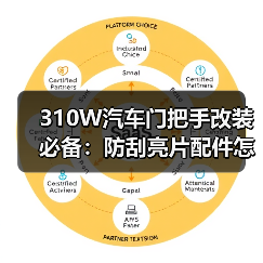 310W汽车门把手改装必备：防刮亮片配件怎么选？（图4）
