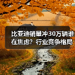 比亚迪销量冲30万辆谁在焦虑？行业竞争格局剧变（图4）