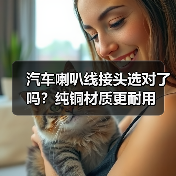 汽车喇叭线接头选对了吗？纯铜材质更耐用（图3）