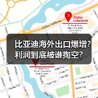 比亚迪海外出口爆增？利润到底被谁掏空？（图4）