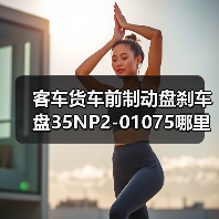 客车货车前制动盘刹车盘35NP2-01075哪里买？（图3）