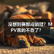 没想到赛那成销冠？MPV真的不香了？（图1）