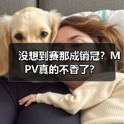 没想到赛那成销冠？MPV真的不香了？（图3）