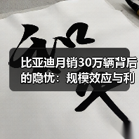 比亚迪月销30万辆背后的隐忧:规模效应与利润压力(图3) 比亚迪月销30万辆背后的隐忧:规模效应与利润压力(图3)