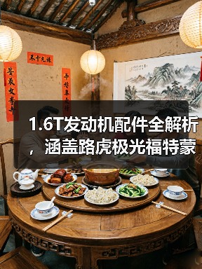 1.6T发动机配件全解析，涵盖路虎极光福特蒙迪欧等车型（图2）