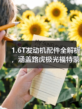 1.6T发动机配件全解析，涵盖路虎极光福特蒙迪欧等车型（图4）
