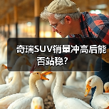 奇瑞SUV销量冲高后能否站稳？（图2）