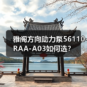 雅阁方向助力泵56110-RAA-A03如何选？（图1）