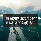 雅阁方向助力泵56110-RAA-A03如何选？（图4）