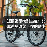 短期销量榜别当真！比亚迪星愿第一你的需求输得起吗？（图1）