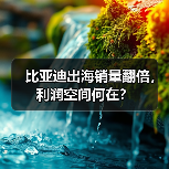 比亚迪出海销量翻倍，利润空间何在？