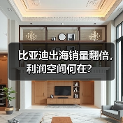 比亚迪出海销量翻倍,利润空间何在?(图4) 比亚迪出海销量翻倍,利润空间何在?(图4)