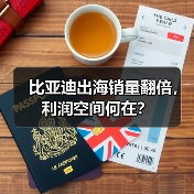 比亚迪出海销量翻倍,利润空间何在?(图3) 比亚迪出海销量翻倍,利润空间何在?(图3)
