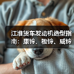 江淮货车发动机选型指南:康铃、骏铃、威铃4DA1高压共轨性能对比(图3) 江淮货车发动机选型指南:康铃、骏铃、威铃4DA1高压共轨性能对比(图3)