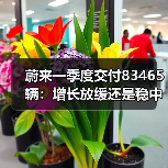 蔚来一季度交付83465辆:增长放缓还是稳中有升?(图1) 蔚来一季度交付83465辆:增长放缓还是稳中有升?(图1)
