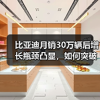 比亚迪月销30万辆后增长瓶颈凸显，如何突破下一阶段？（图1）