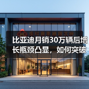 比亚迪月销30万辆后增长瓶颈凸显，如何突破下一阶段？（图3）